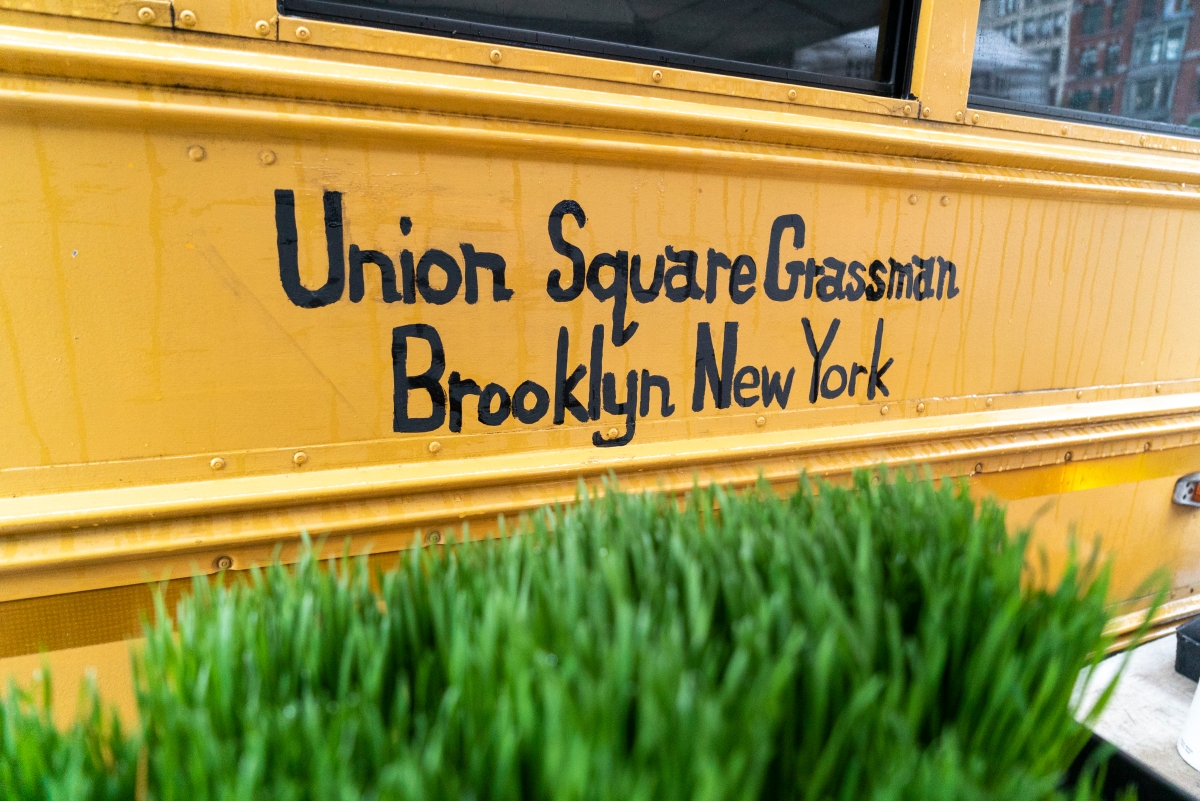 Union Square Grassman